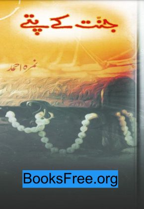 Jannat Kay Pattay By Nimra Ahmed Pdf Free Download - BooksFree