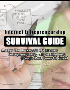 Internet Entrepreneurship Survival Guide pdf free download