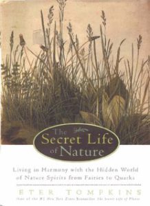 The Secret Life of Nature pdf free download